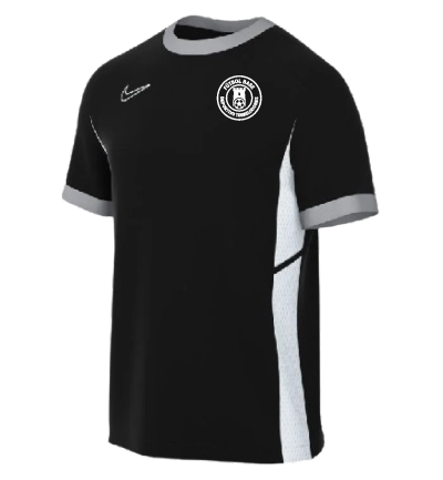 CAMISETA ENTRENO ADULTO TORRELODONES